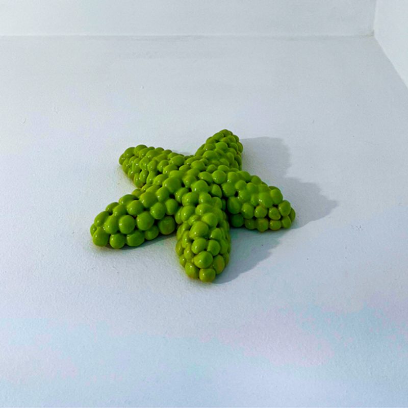 Verde Pistacho é unha peza de cerámica elaborada nos talleres de APAMP (Asociación de Familias de Persoas con Parálise Cerebral) para a marca A Casa Rodante